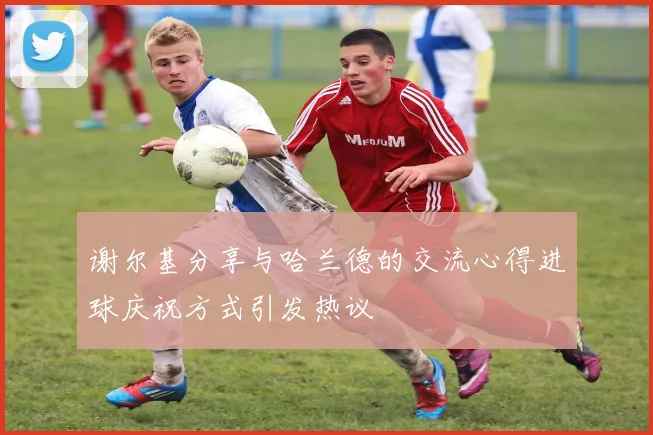 谢尔基分享与哈兰德的交流心得进球庆祝方式引发热议